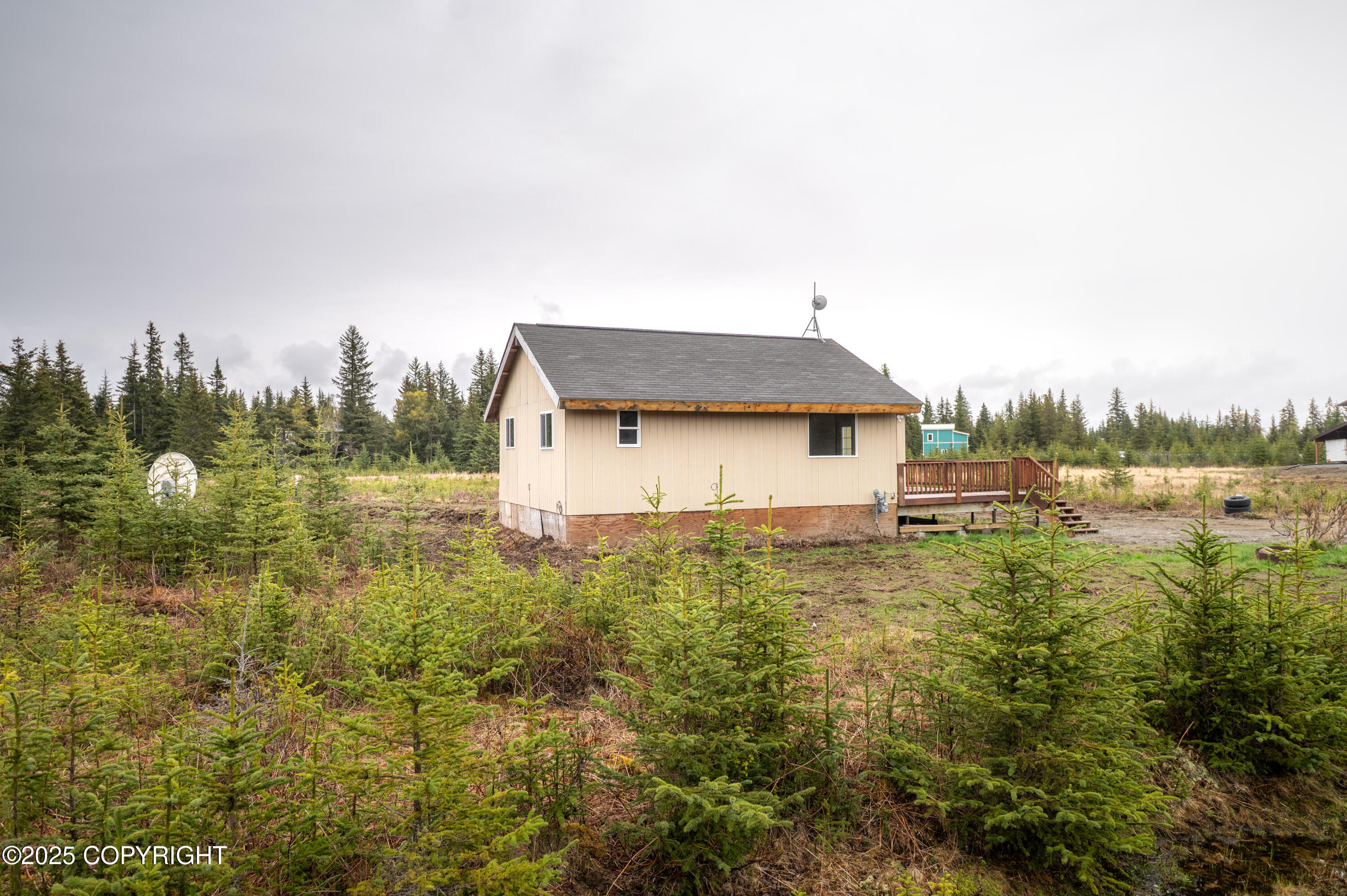 33533 Alder Street, Anchor Point, Alaska image 19
