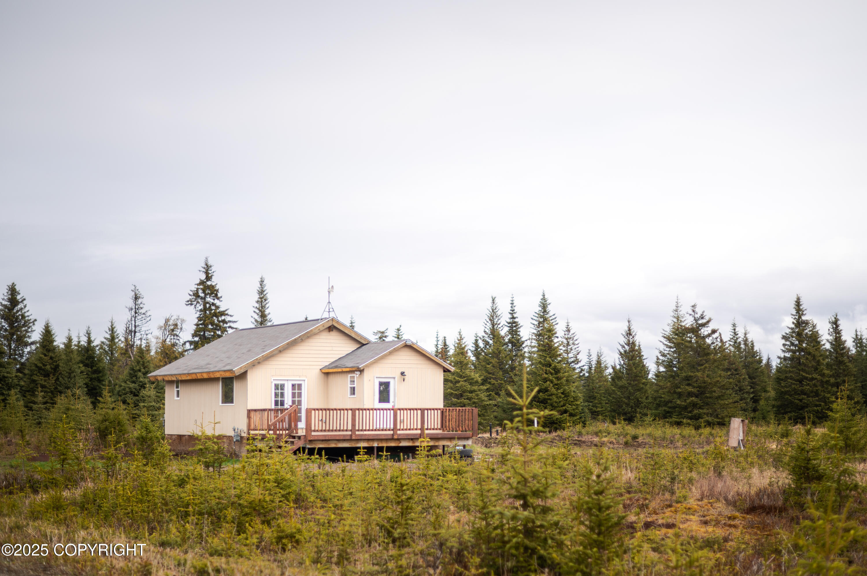 33533 Alder Street, Anchor Point, Alaska image 18