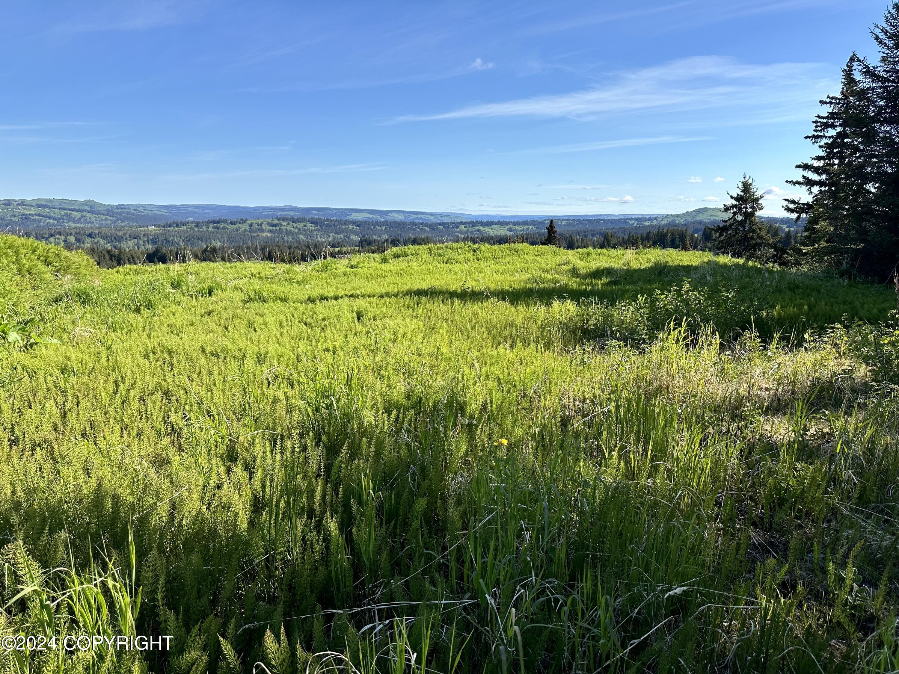 0001 West Highlands Boulevard, Homer, Alaska image 9