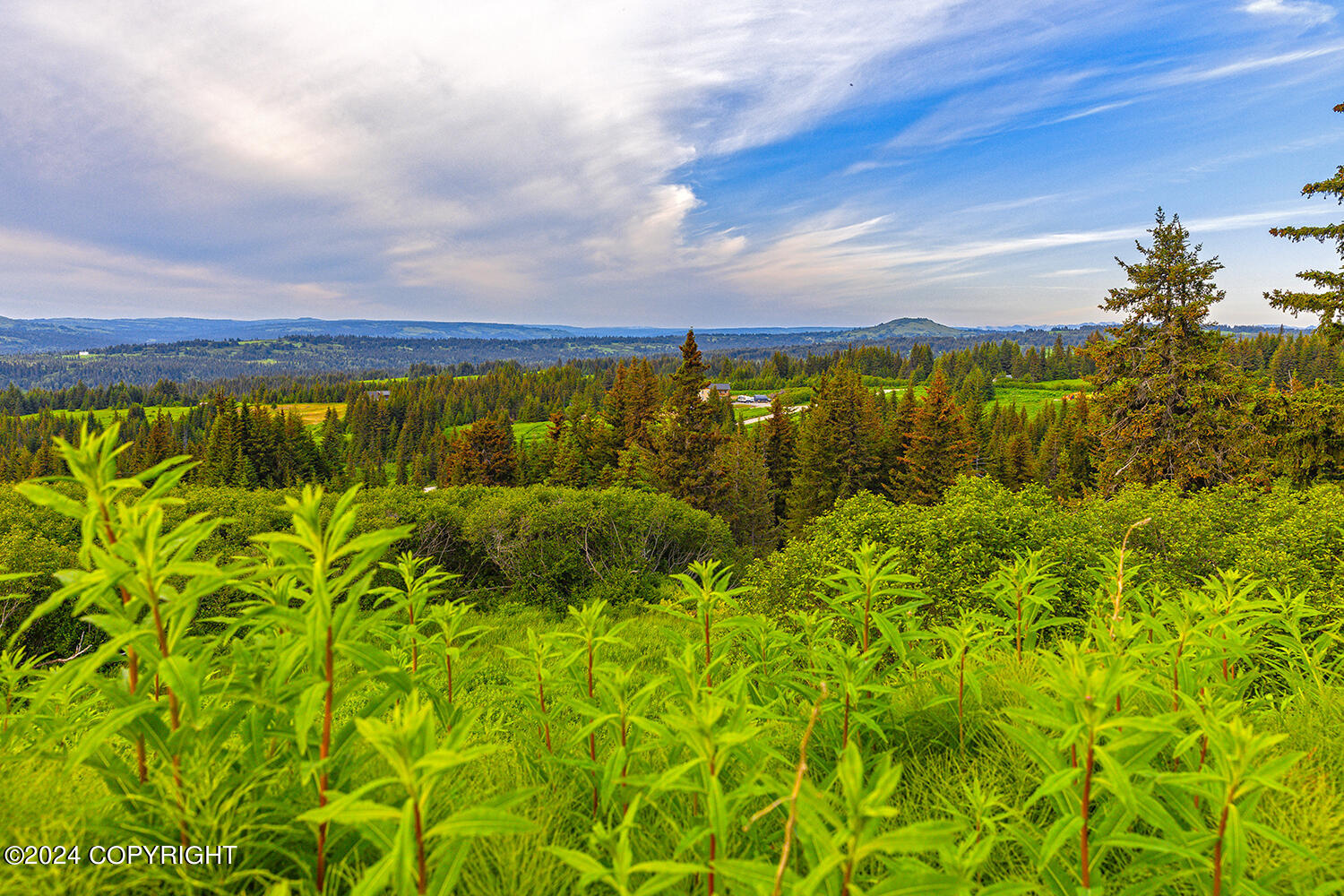 0001 West Highlands Boulevard, Homer, Alaska image 3