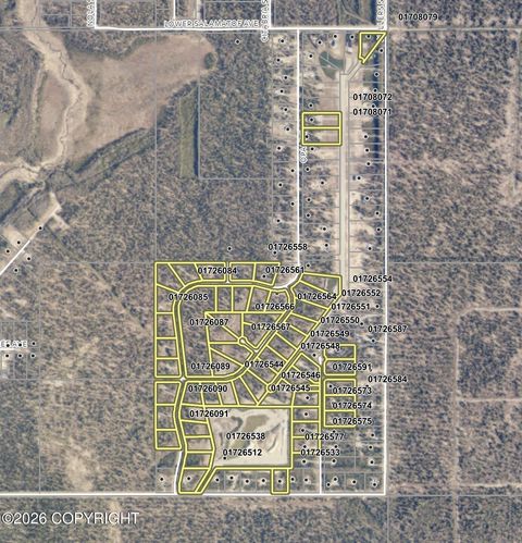 Vacant Land For Sale - 000 Princess Lake Estates<br/> Kenai, AK 99611