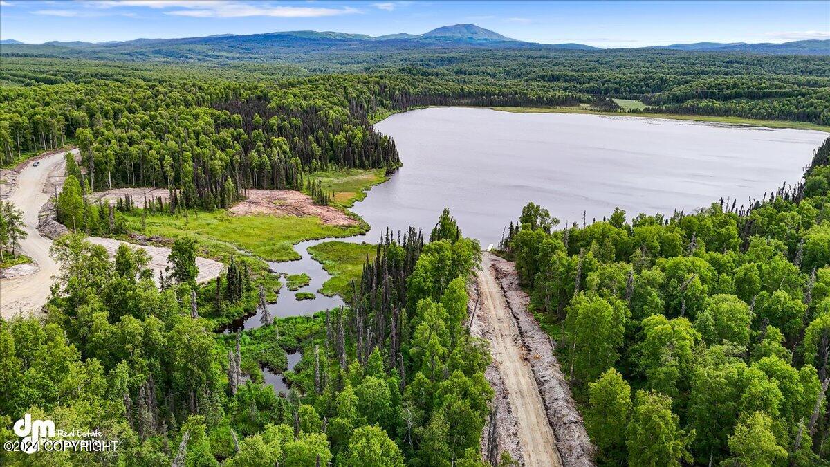 Unit 64 N Baldy Lake Airpark Rd #A104, Talkeetna, Alaska image 1