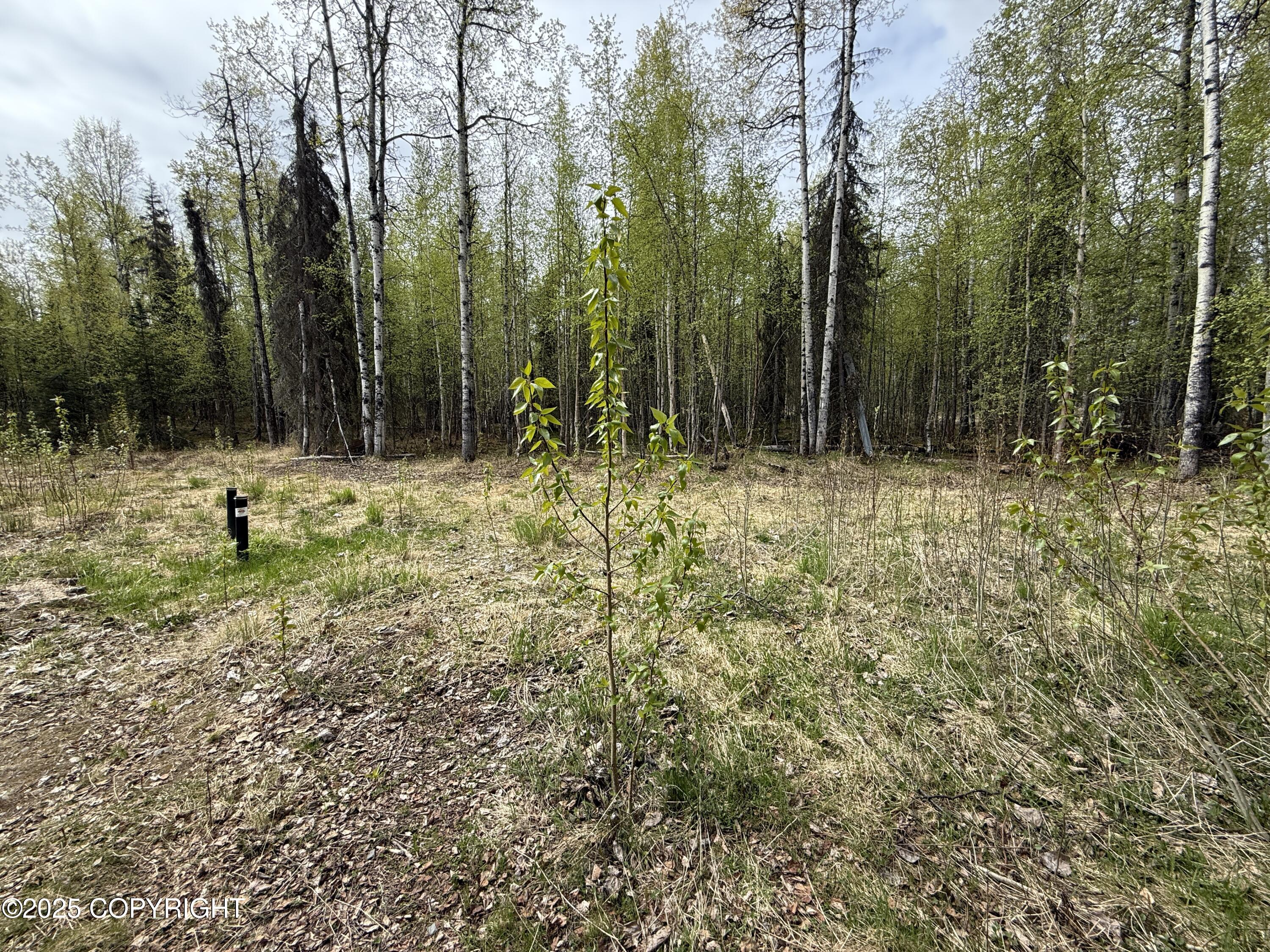 24720 W Sunnyslope Way, Willow, Alaska image 30