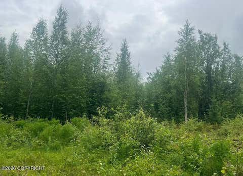 Vacant Land For Sale - 4764 S Horseshoe Lake Road<br/> Big Lake, AK 99652