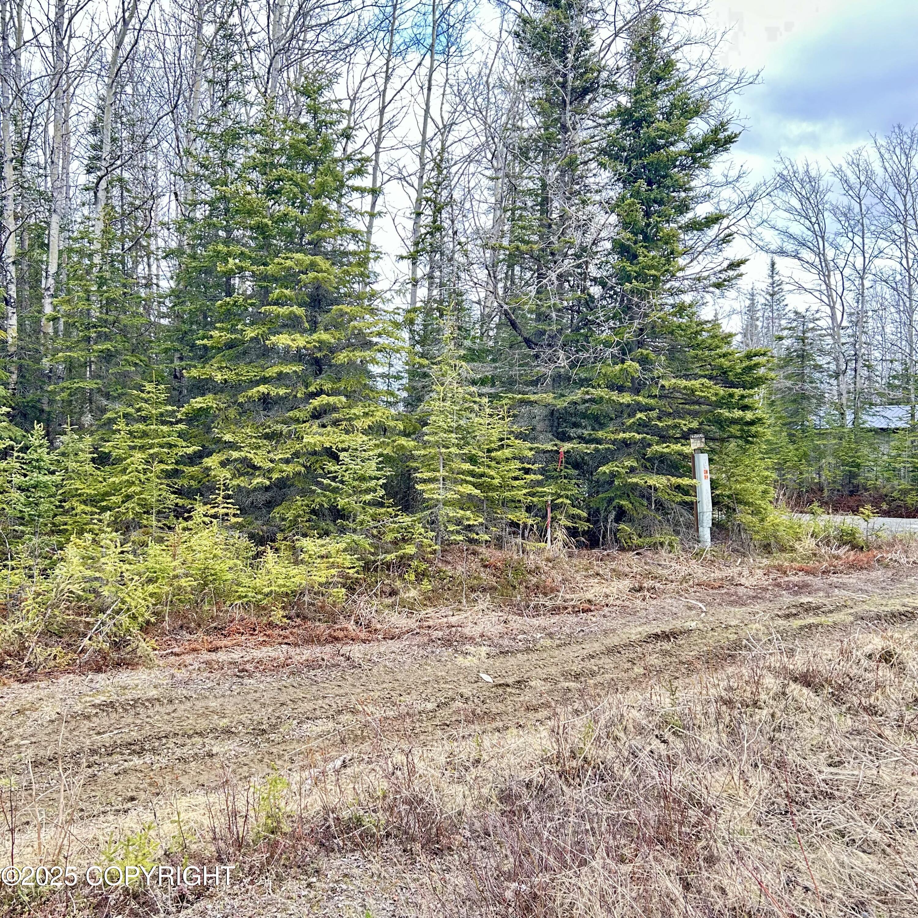 33355 Green Lane, Soldotna, Alaska image 4