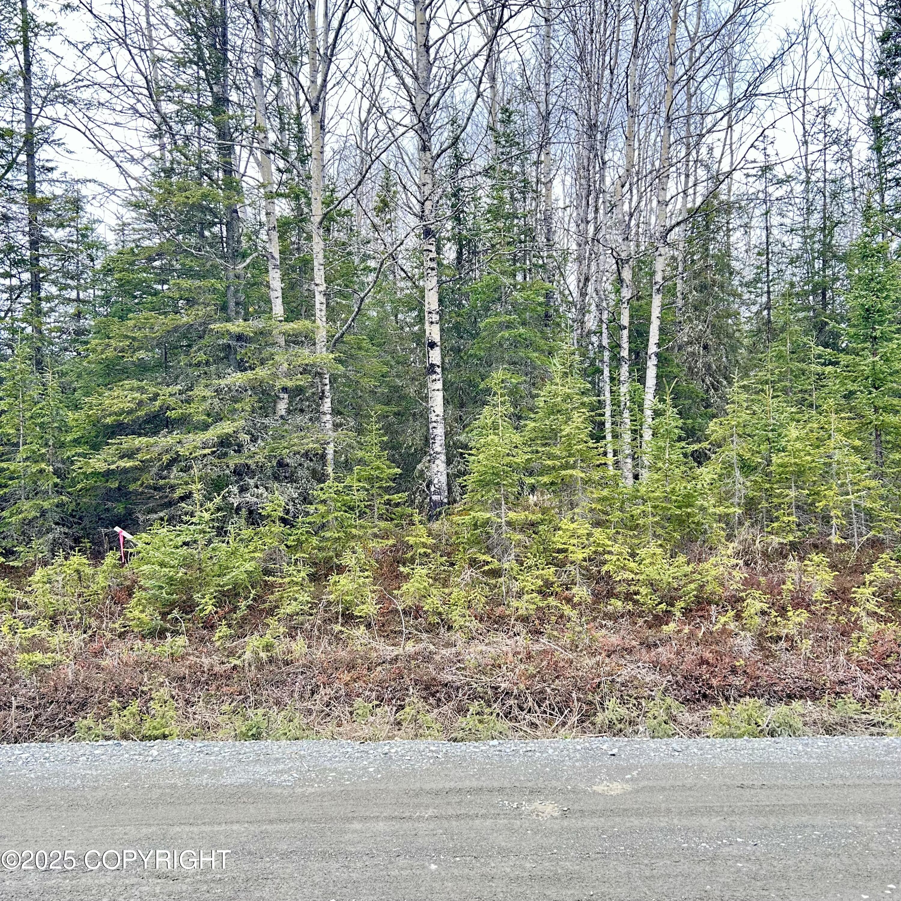 33355 Green Lane, Soldotna, Alaska image 3