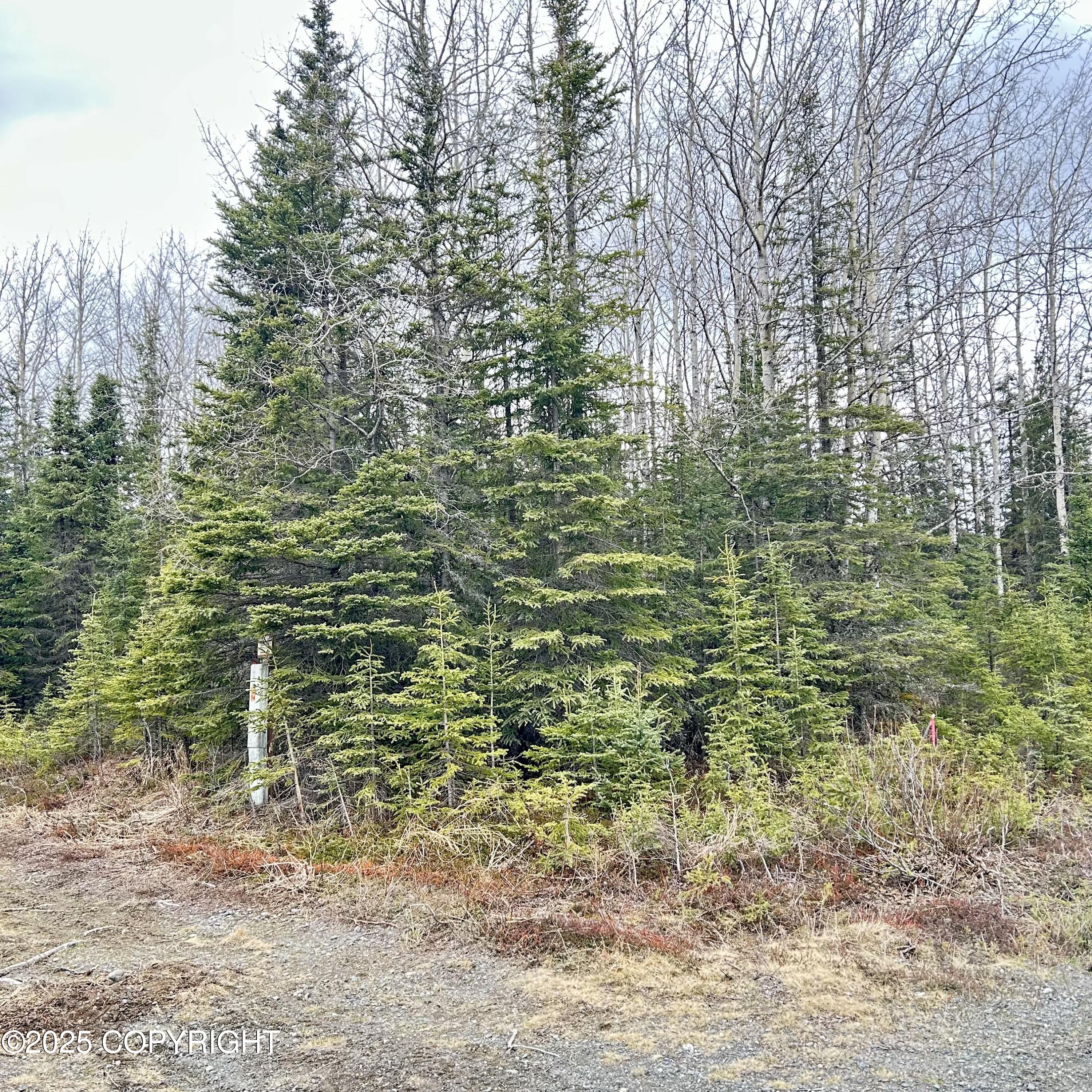 33355 Green Lane, Soldotna, Alaska image 6