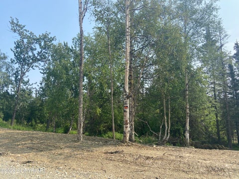 Vacant Land For Sale - 2650 W Longview Circle<br/> Wasilla, AK 99654