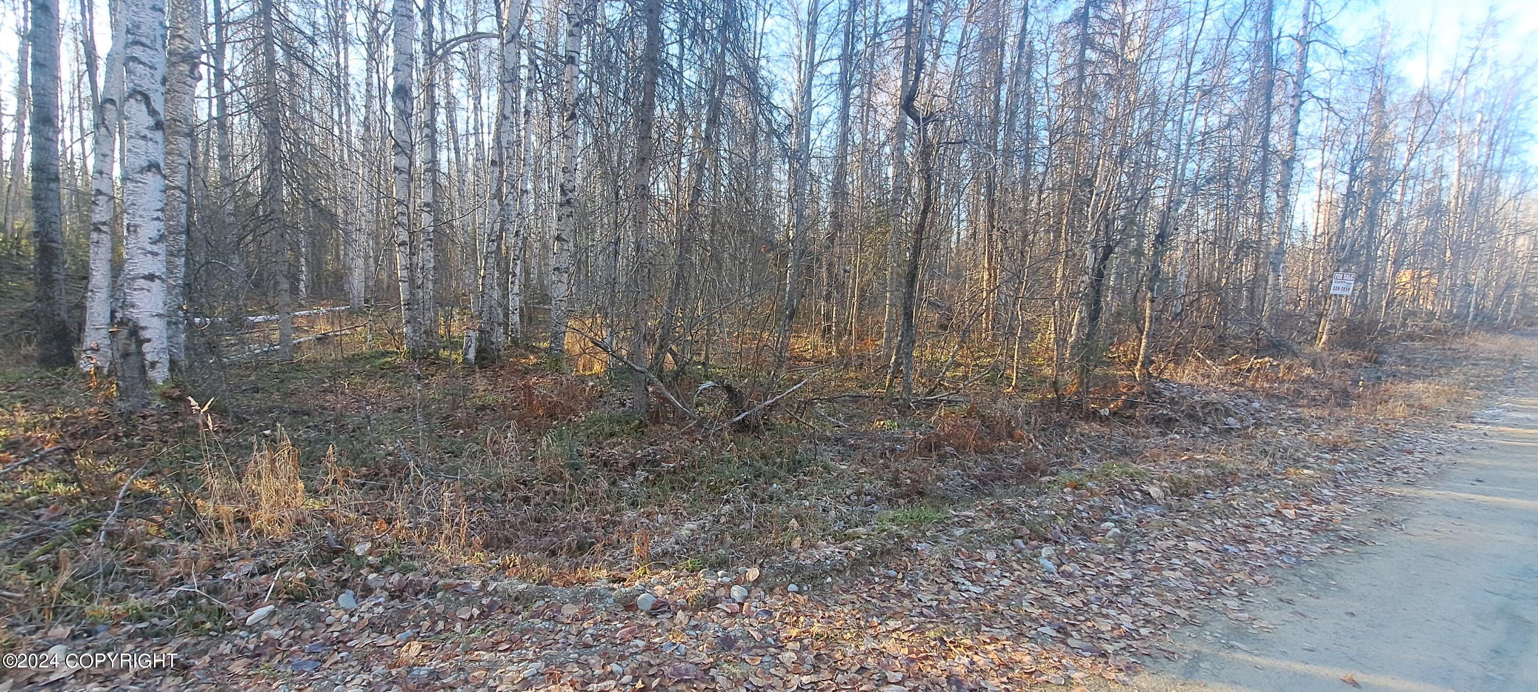 19940 E Tackle Avenue, Willow, Alaska image 7