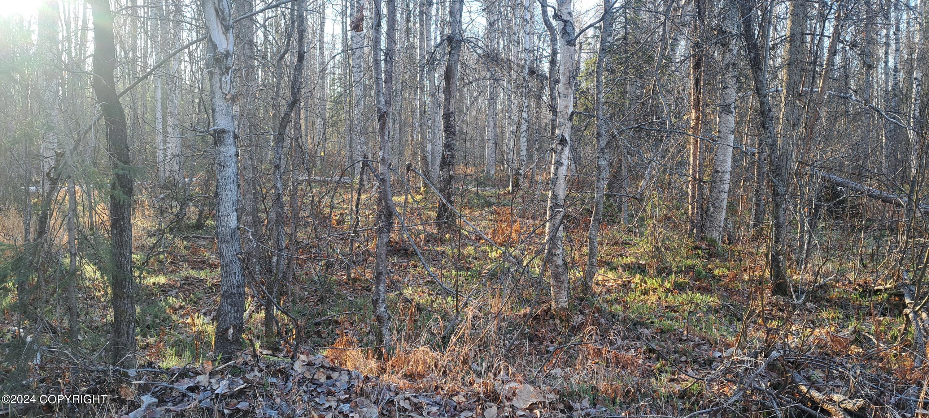 19940 E Tackle Avenue, Willow, Alaska image 2