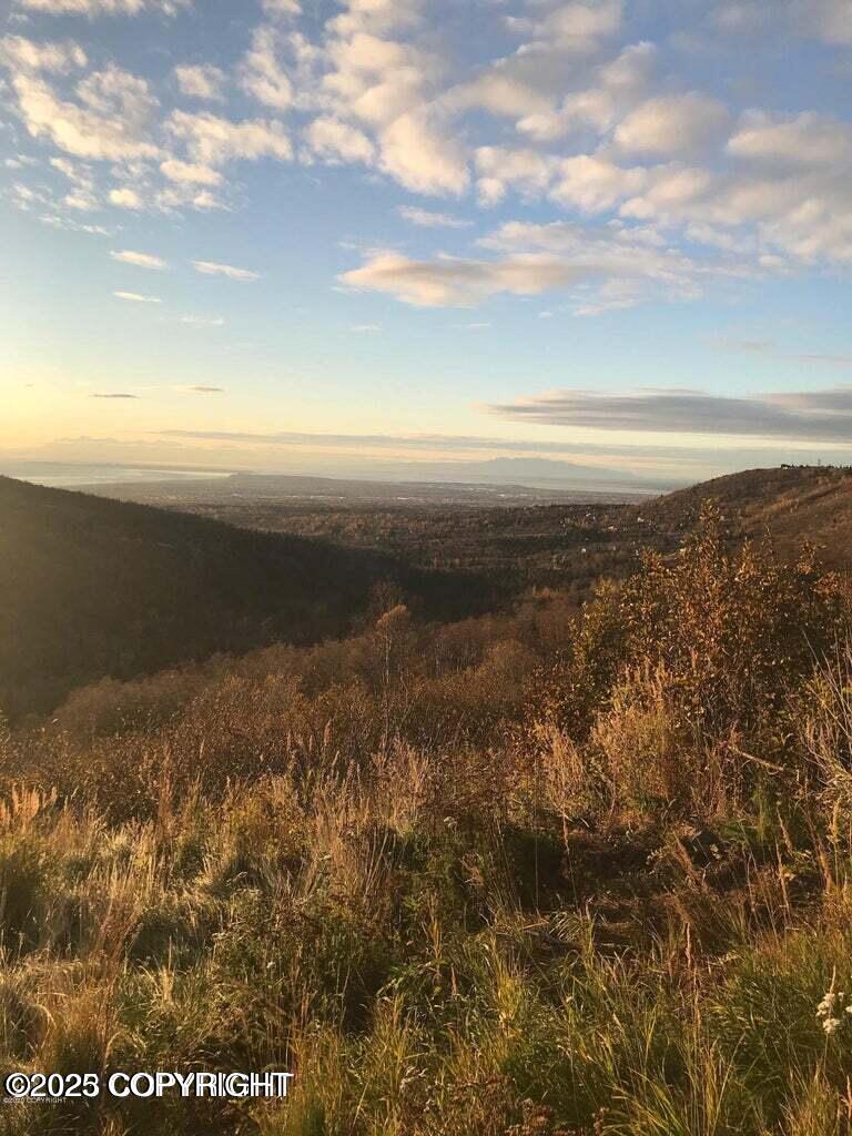 Anchorage, Alaska 99516, United States, ,Land,Active,152152