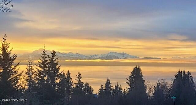 2750 Sterling Highway