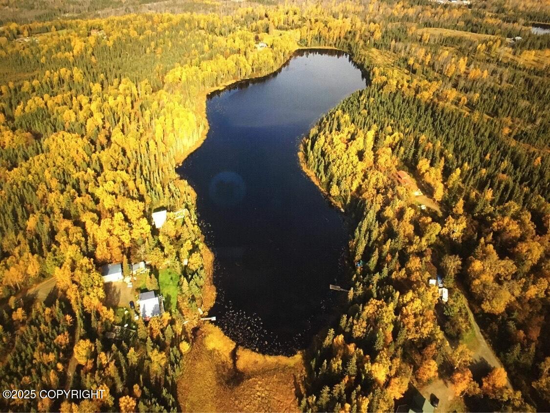 24555 Constellation Road, Kasilof, Alaska image 2