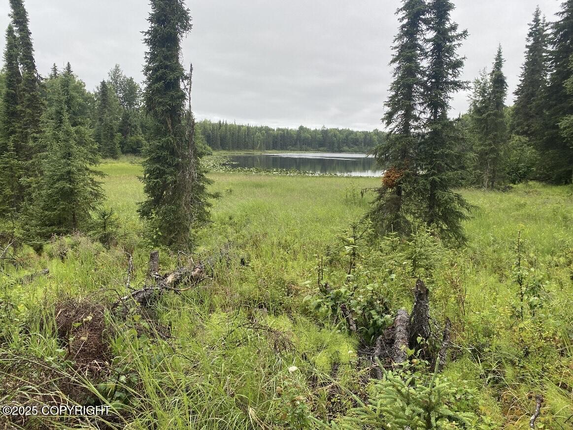 24555 Constellation Road, Kasilof, Alaska image 6