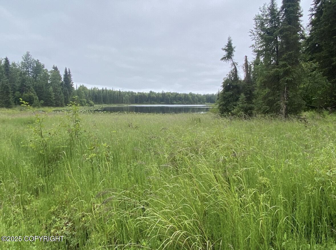 24555 Constellation Road, Kasilof, Alaska image 7