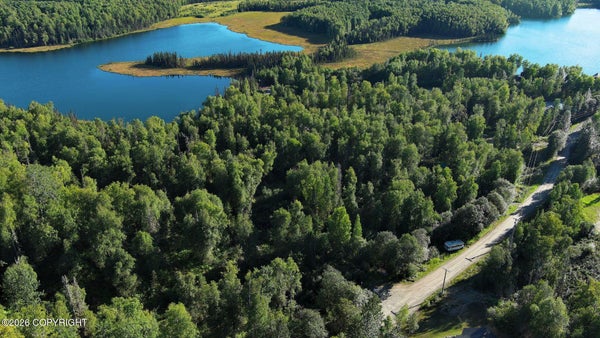 17446 W MARION DR, WASILLA, AK 99623 - Image 2ad8f92303de2cbbe8bcffba61e40b4d/195468940