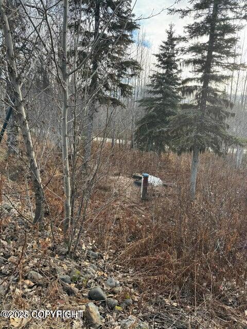 63800 Evergreen Avenue, Ninilchik, Alaska image 4