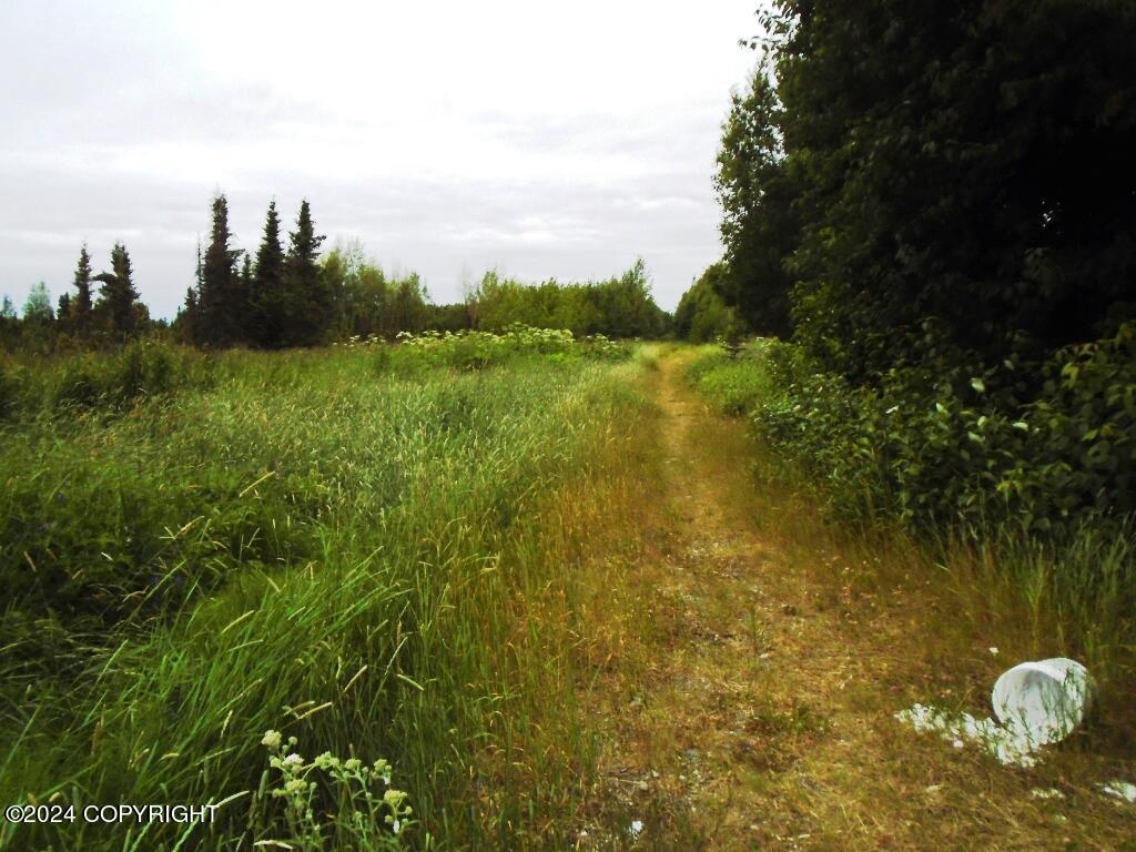 L1 W 92nd Avenue, Anchorage, Alaska image 9
