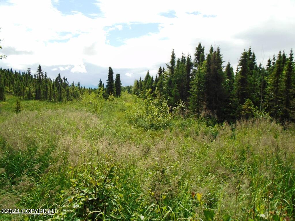 L1 W 92nd Avenue, Anchorage, Alaska image 13