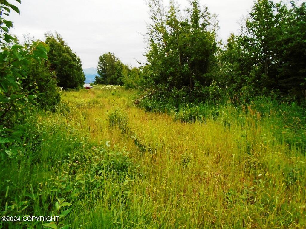 L1 W 92nd Avenue, Anchorage, Alaska image 8