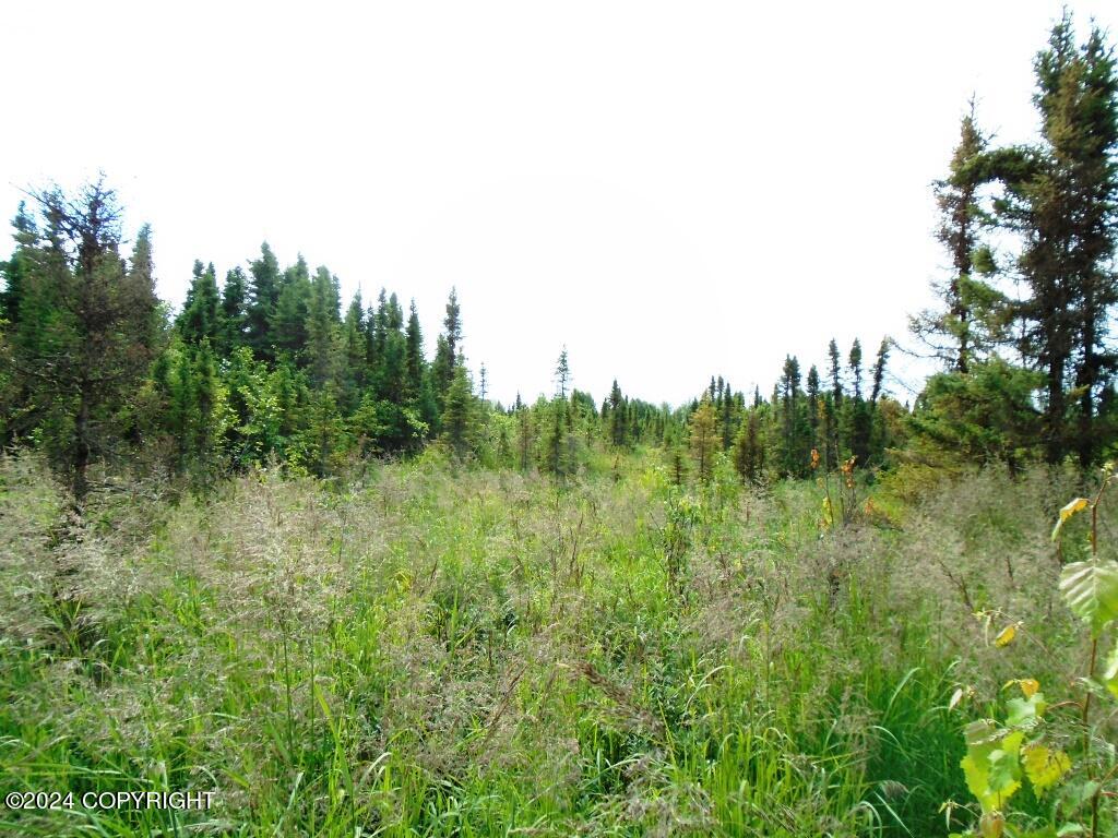 L1 W 92nd Avenue, Anchorage, Alaska image 12