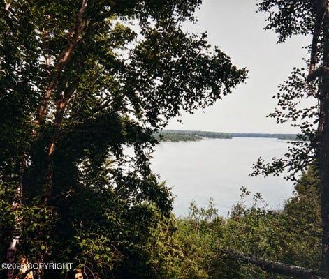 REMOTE LN, WILLOW, AK 99688 - Image 2b1bb645b51ddbefa6b8a03c9e558bbf/1077357644