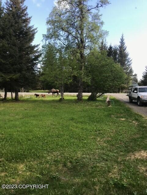 70590 Peggy Drive, Anchor Point, Alaska image 3