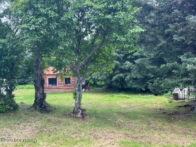 70590 Peggy Drive, Anchor Point, Alaska image 22