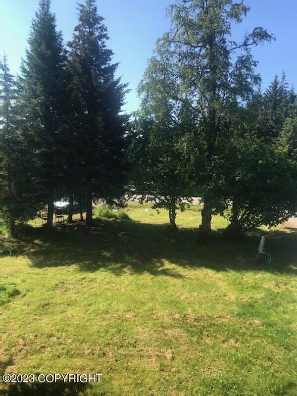 70590 Peggy Drive, Anchor Point, Alaska image 21