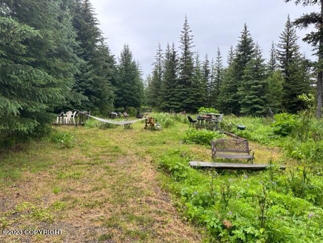 70590 Peggy Drive, Anchor Point, Alaska image 6