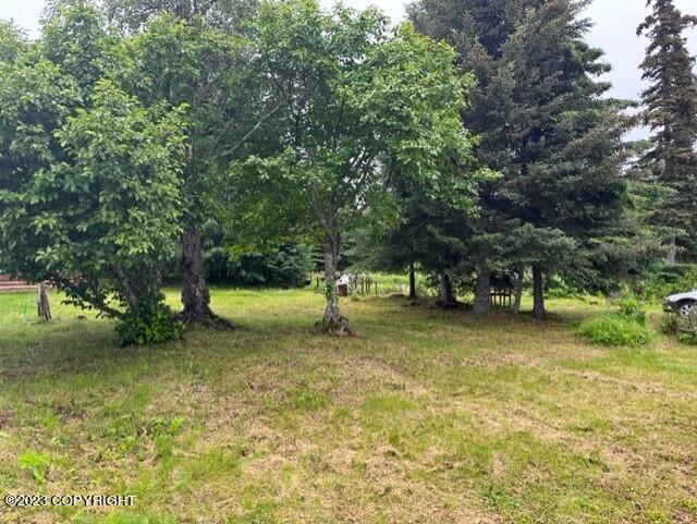 70590 Peggy Drive, Anchor Point, Alaska image 2