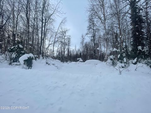 Vacant Land For Sale - 49376 S Cutthroat Drive<br/> Willow, AK 99688