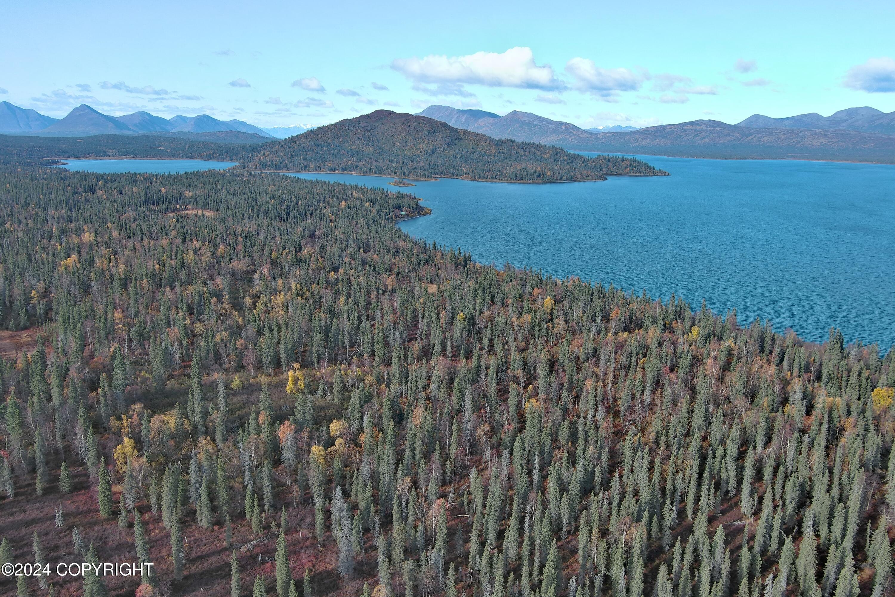 L6B4 Bear Tracks Road, Aleknagik, Alaska image 8