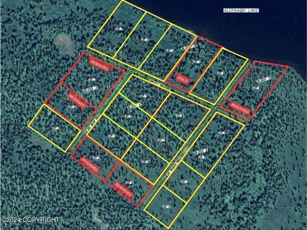 L6B4 Bear Tracks Road, Aleknagik, Alaska image 20