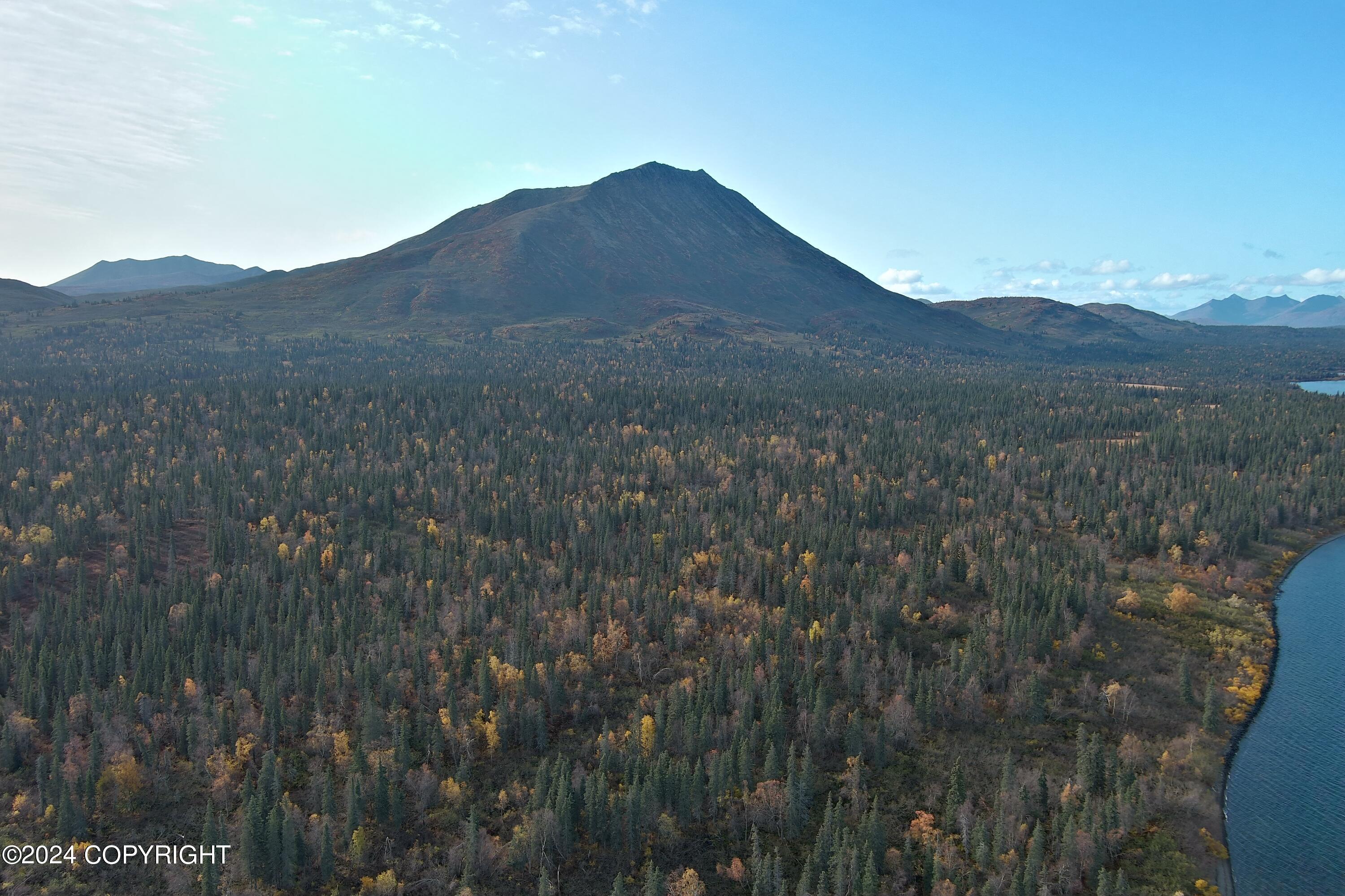 L6B4 Bear Tracks Road, Aleknagik, Alaska image 11
