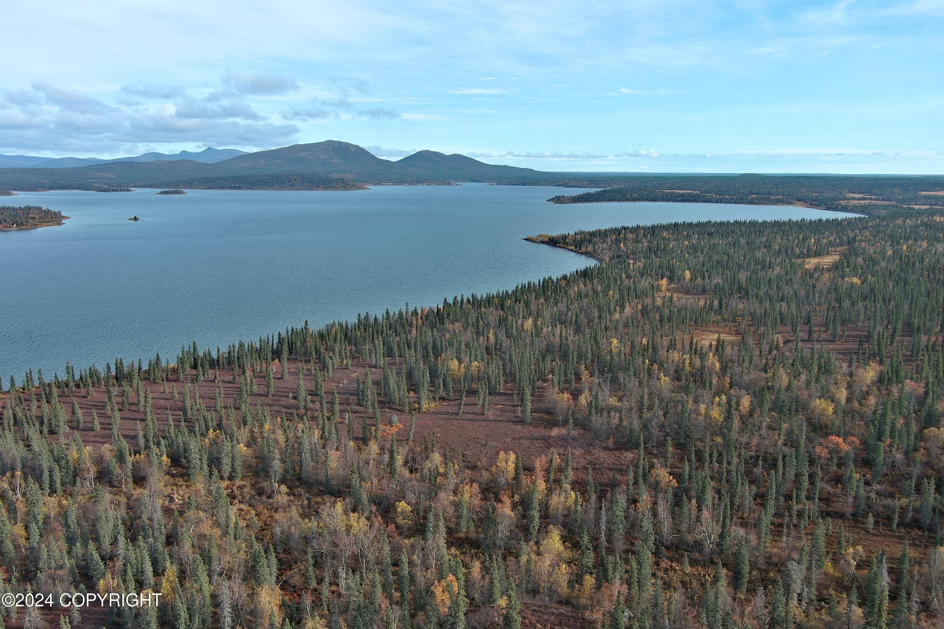 L6B4 Bear Tracks Road, Aleknagik, Alaska image 10