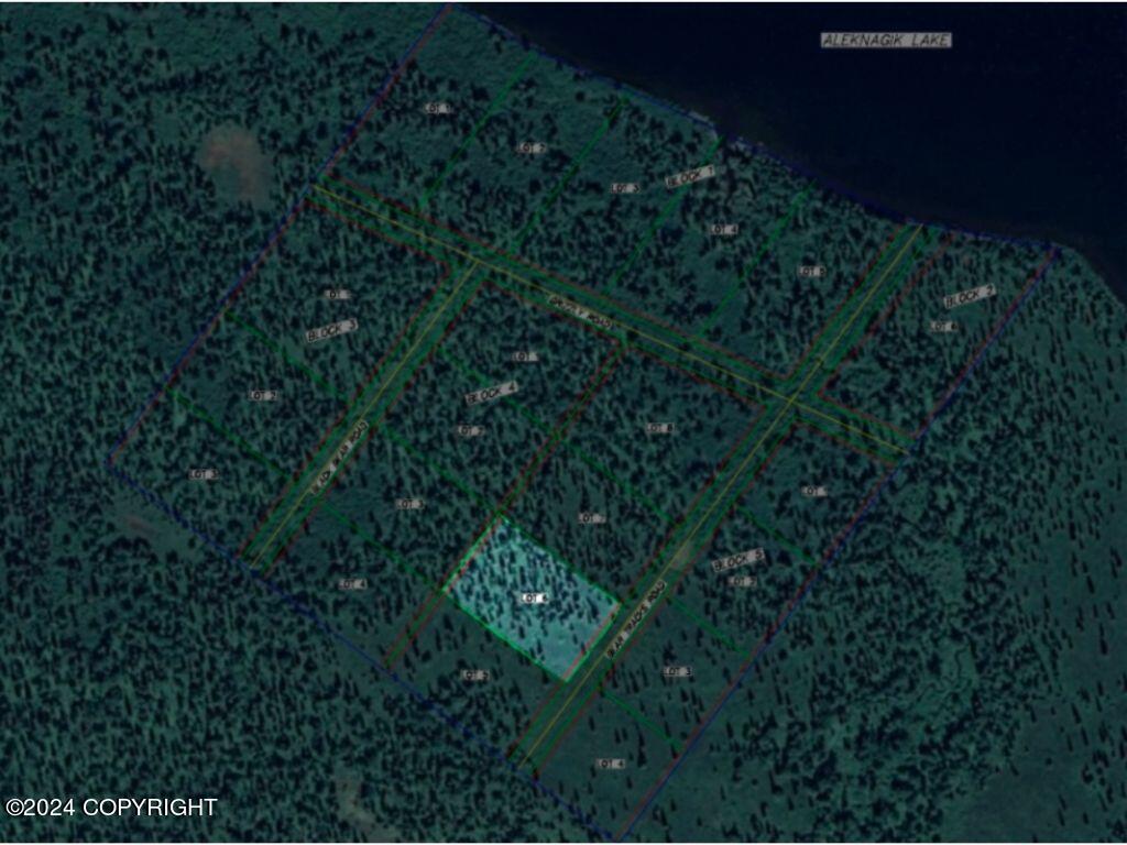 L6B4 Bear Tracks Road, Aleknagik, Alaska image 12