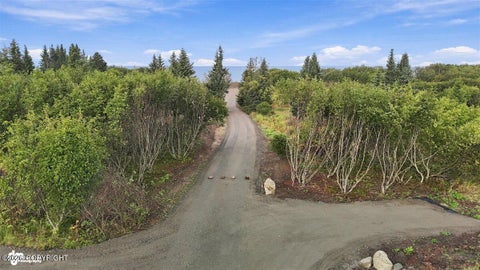 Photo of L3 Sterling Highway, Ninilchik, AK 99639 (MLS # 26-12239)