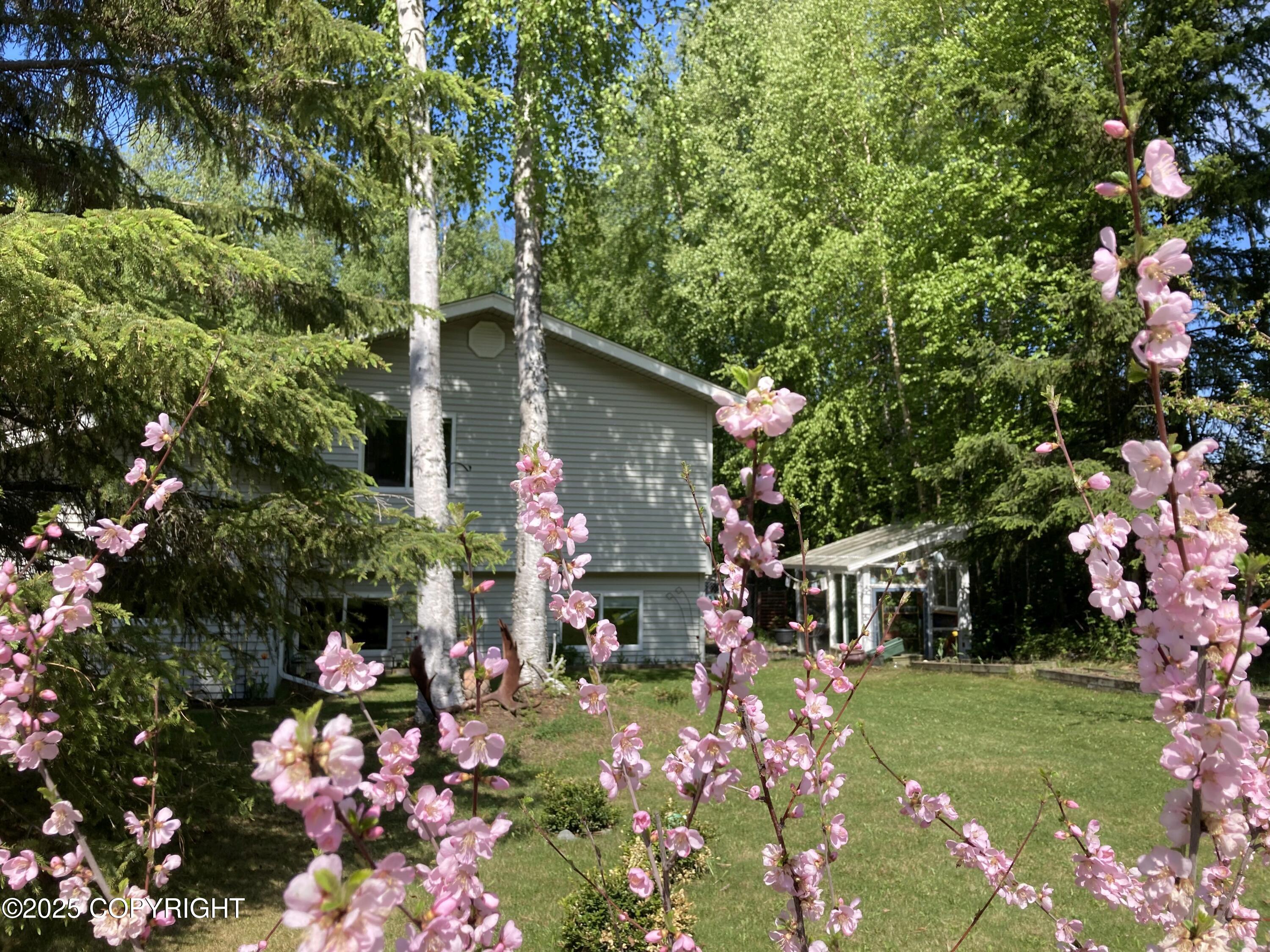 22909 Green Garden Drive, Chugiak, Alaska image 5