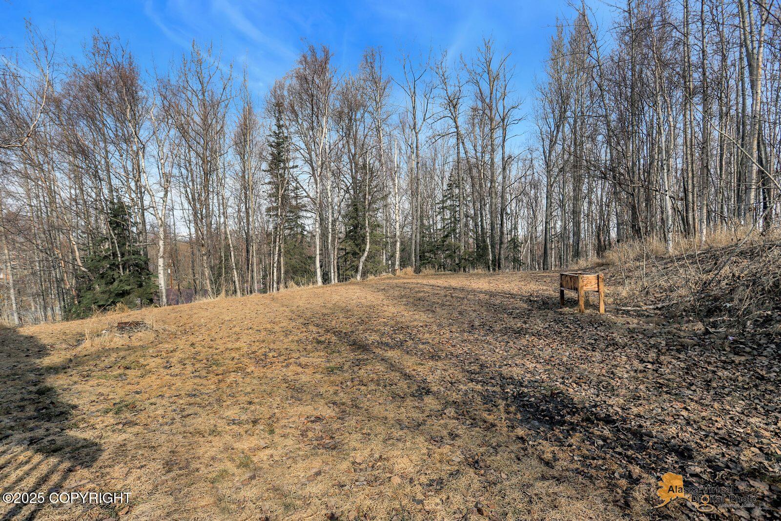 2751 N Barrys Resort Drive, Wasilla, Alaska image 29