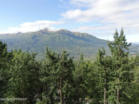 Vacant Land For Sale - #1 Mile Hi Way<br/> Eagle River, AK 99577