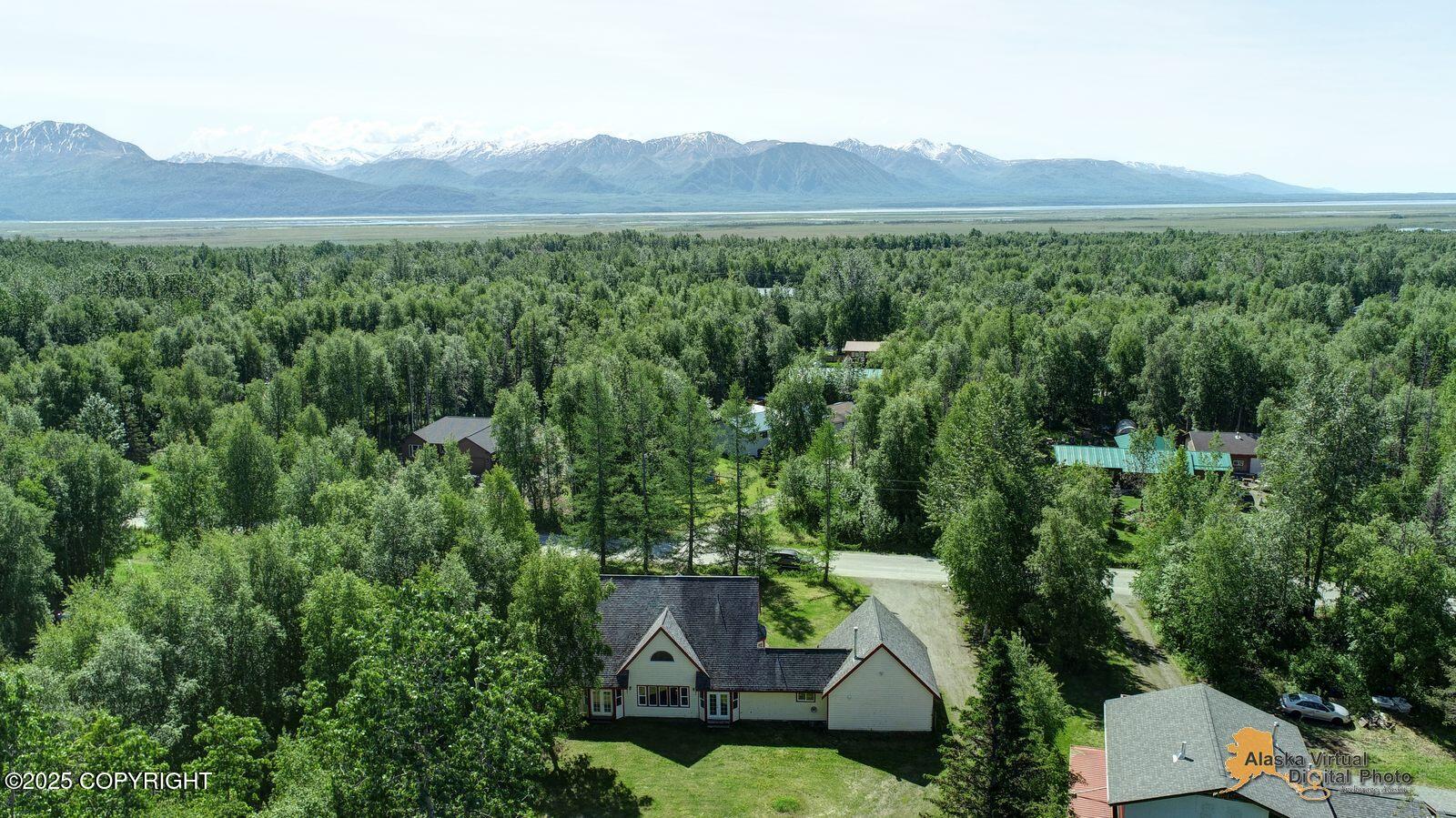1101 E Dan Street, Wasilla, Alaska image 50
