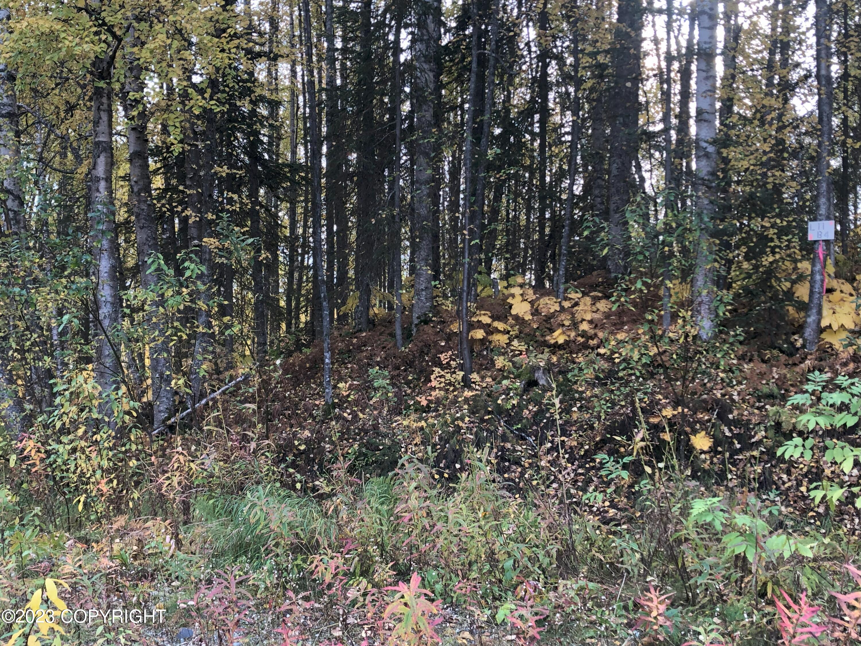 B4L11 Compass Circle, Willow, Alaska image 4