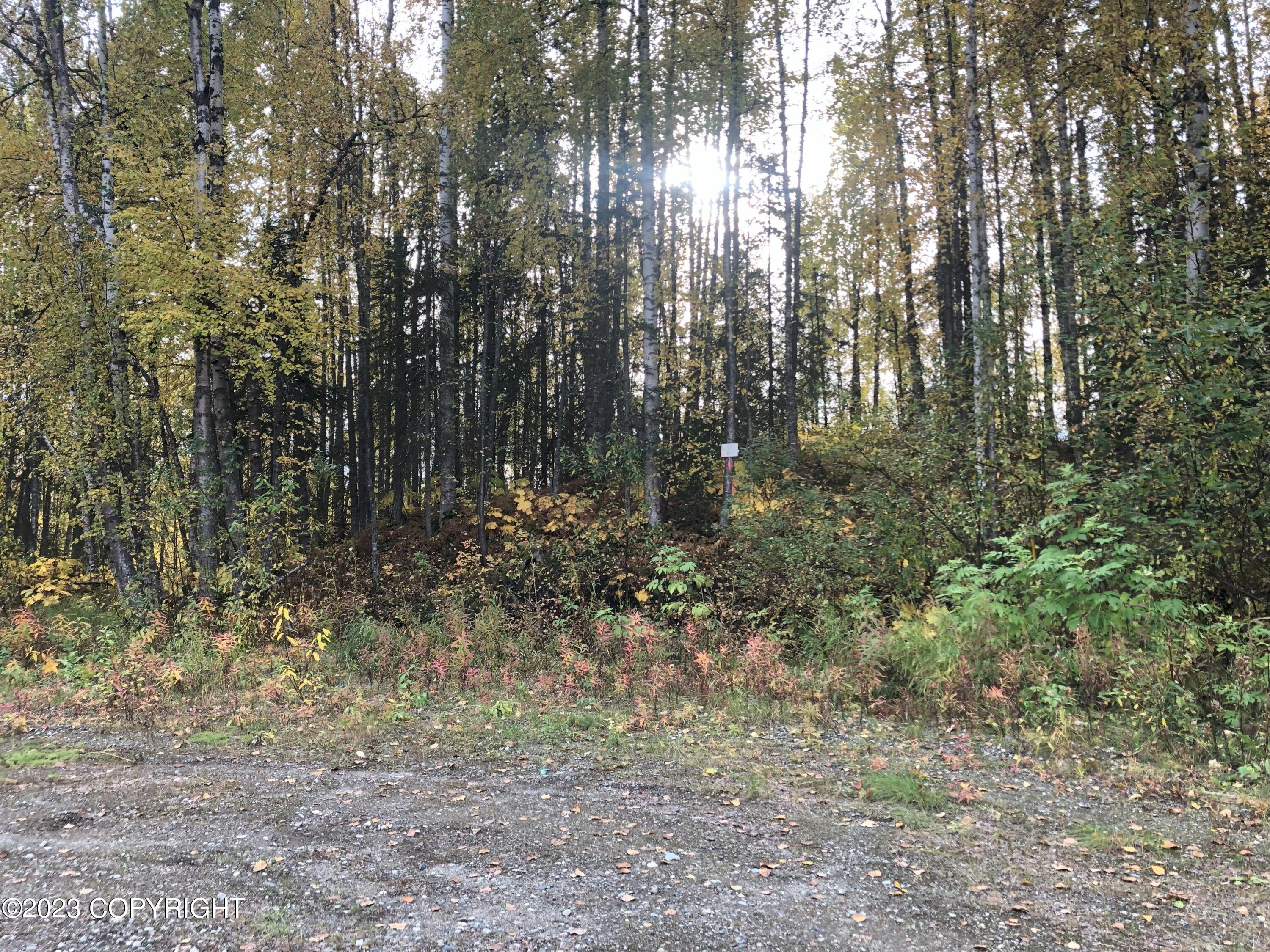 B4L11 Compass Circle, Willow, Alaska image 5