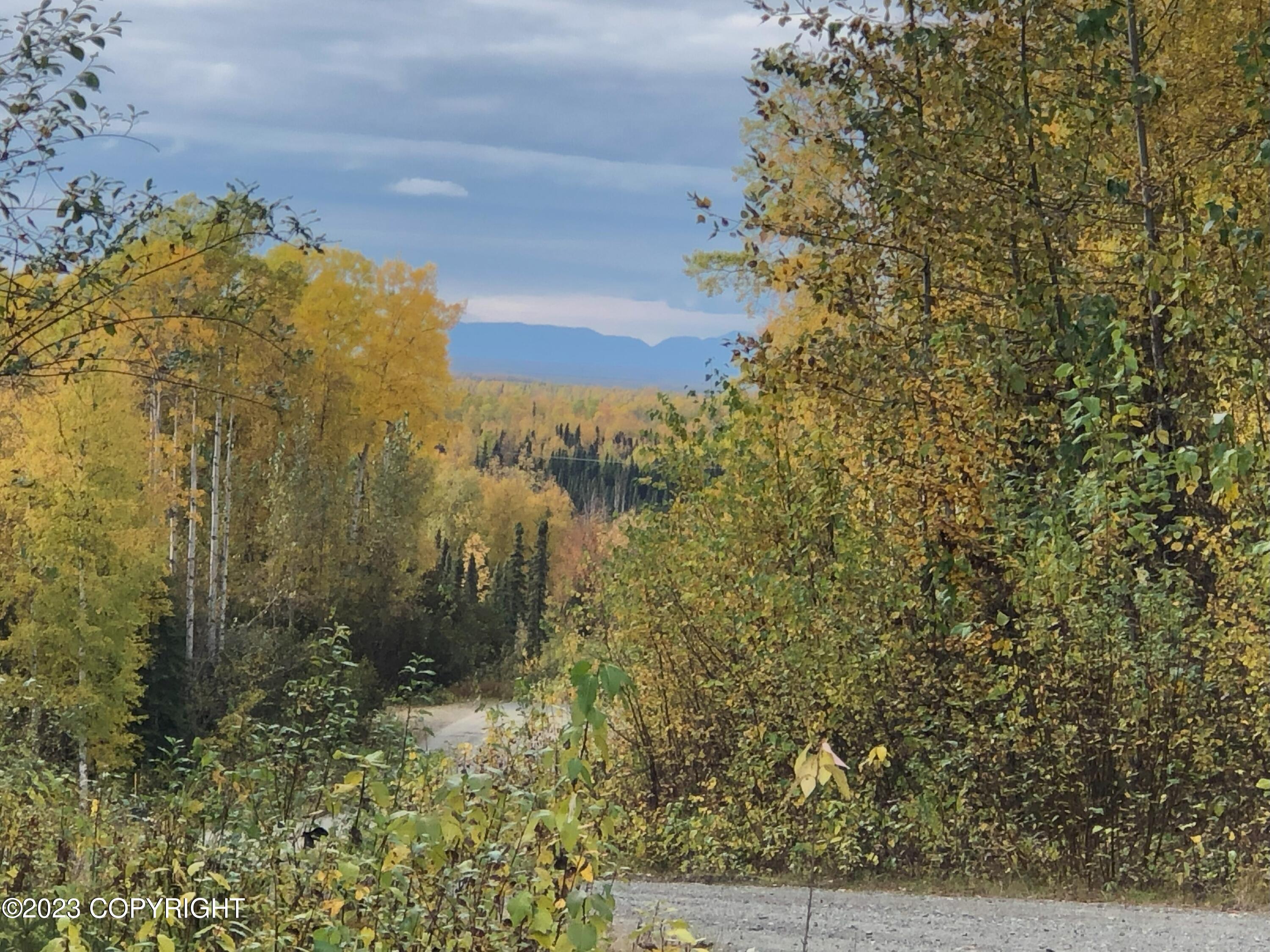 B4L11 Compass Circle, Willow, Alaska image 7