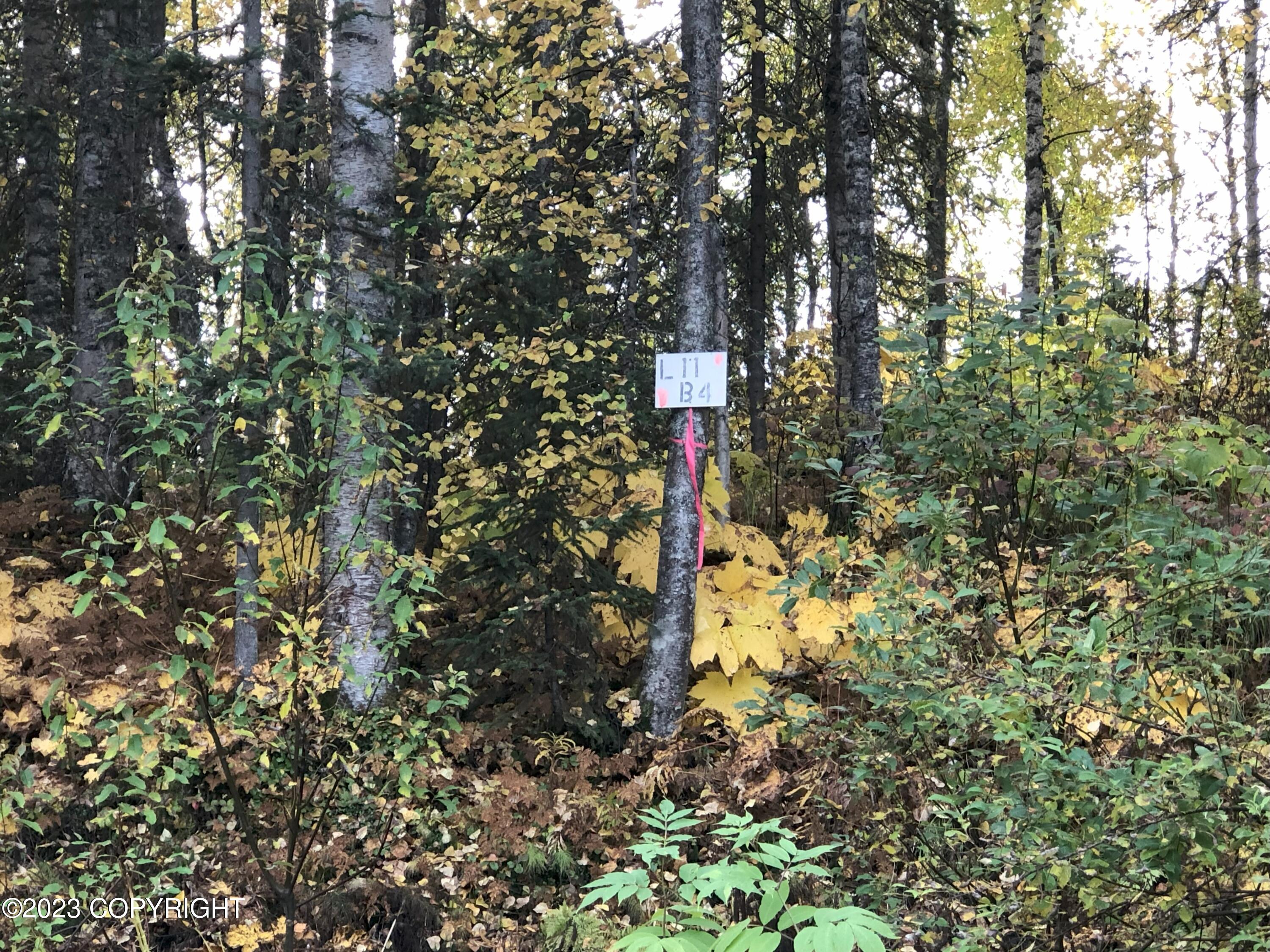 B4L11 Compass Circle, Willow, Alaska image 1
