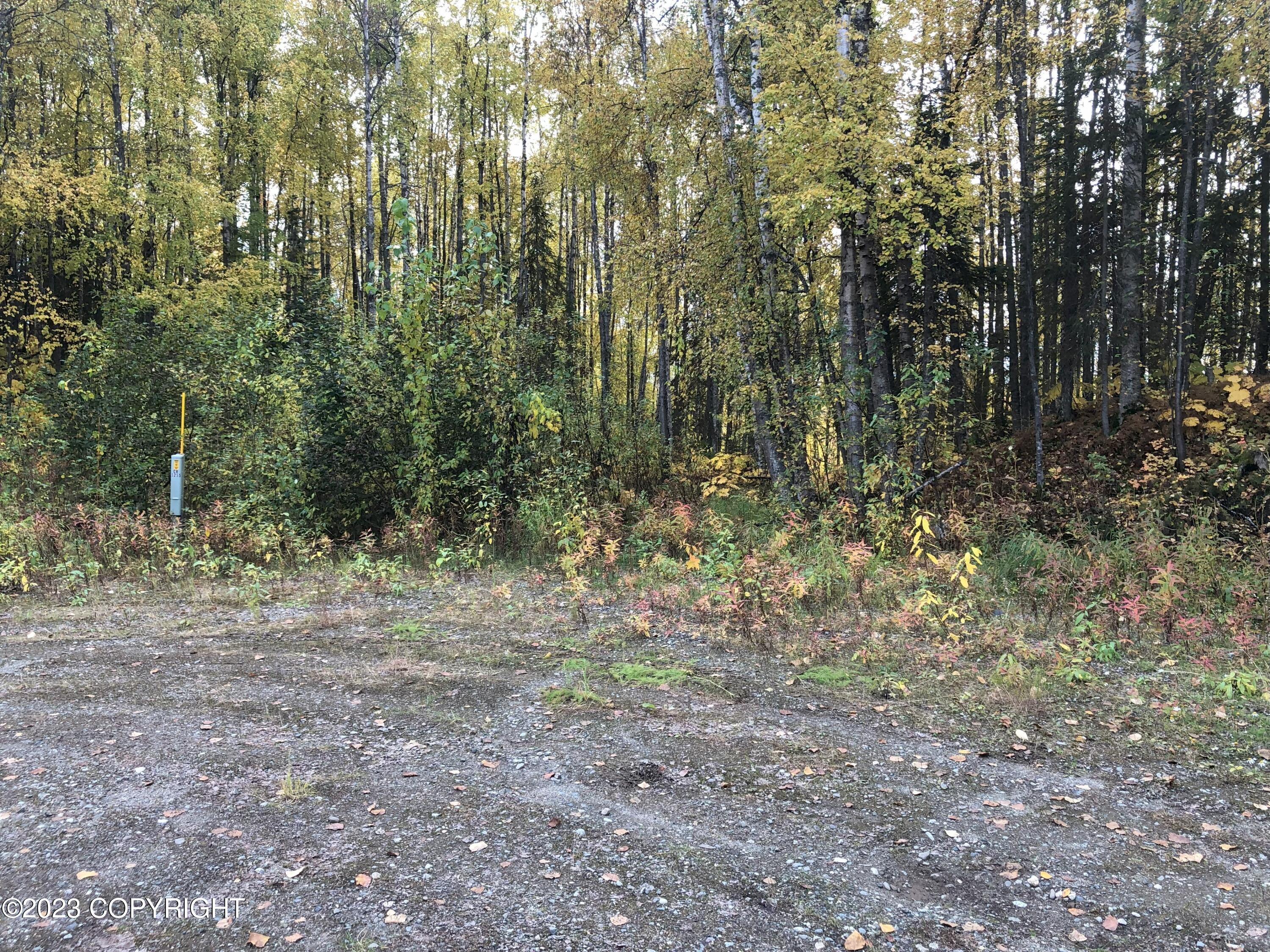 B4L11 Compass Circle, Willow, Alaska image 3