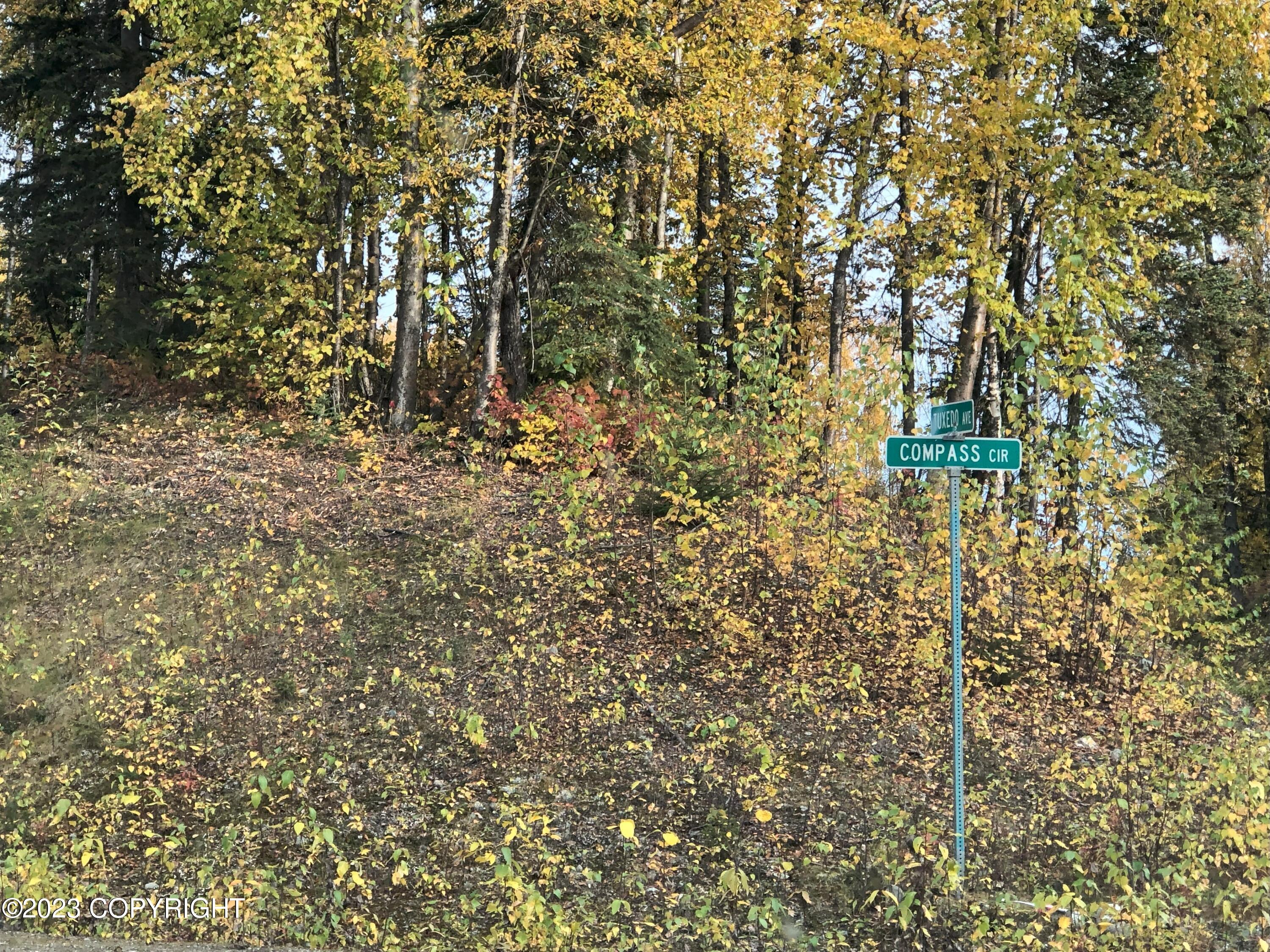 B4L11 Compass Circle, Willow, Alaska image 2