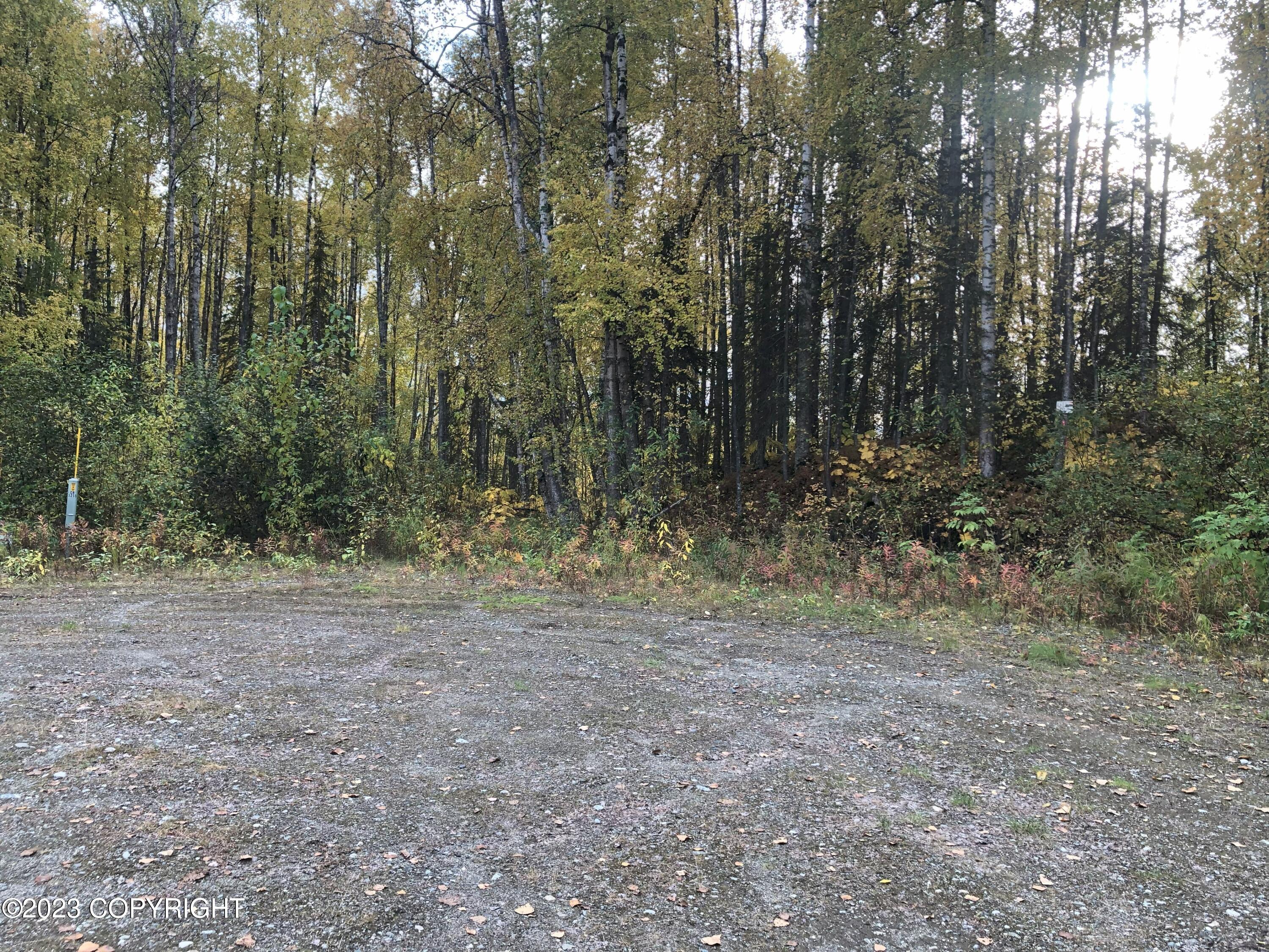 B4L11 Compass Circle, Willow, Alaska image 6