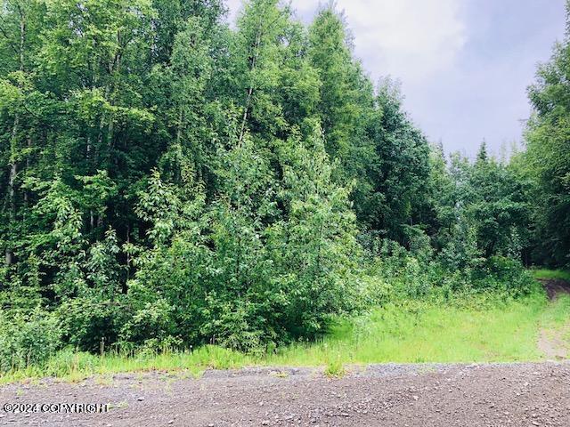 37095 Birkenweg Street, Soldotna, Alaska image 2